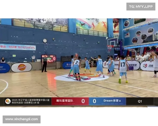 辽宁比赛录像回放